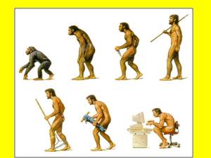 hominidos evolución